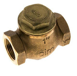 Featured image of collection - Brass Heavy-Duty Lift Check Valves