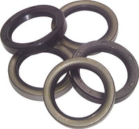 Rotary Shaft Seals