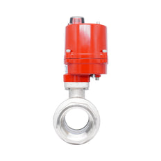 Rp 2-1/2" 2-Way Electric Brass Ball Valve 24 V AC/DC