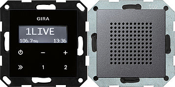 Gira System 55 Radio Switching Material - 228028