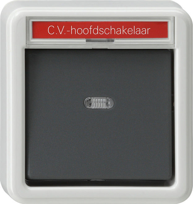 Gira Splashproof Surface-Mounted Installation Switch - 011635