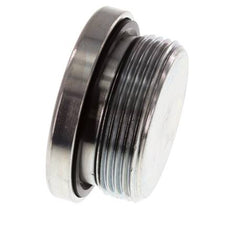 Plug M42 X 2 Steel NBR with Internal Hex 250bar (3512.5psi)