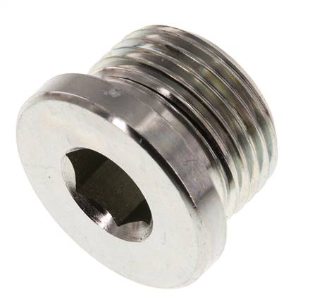 Plug M27 X 2 Steel NBR with Internal Hex 400bar (5620.0psi)