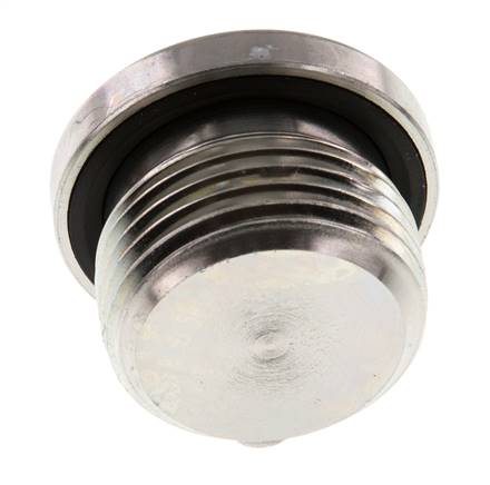 Plug M27 X 2 Steel NBR with Internal Hex 400bar (5620.0psi)