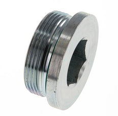 Plug M48 X 2 Steel FKM with Internal Hex 250bar (3512.5psi)