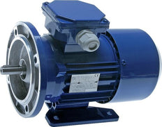 0.55kW 4-Pole Three-Phase Motor IEC 80 B35 Foot & Flange 230/400V