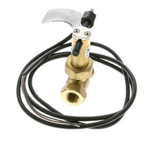 G3/8'' brass inline paddle flow switch 2.8-6 l/min 100 bar
