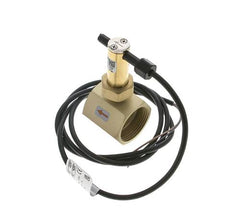 G1 1/4'' brass inline paddle flow switch 22-38.6 l/min 25 bar