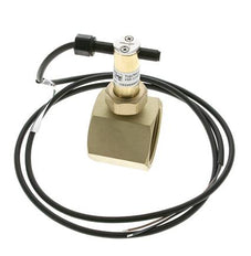 G1 1/2'' brass inline paddle flow switch 34.8-64.2 l/min 25 bar