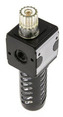 Lubricator G1/4'' Protective Cage Polycarbonate Multifix 1