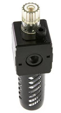 Lubricator G1/4'' Protective Cage Polycarbonate Multifix 1