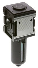 Microfilter 0.01microns G1'' 1500 l/min Semi-Auto Protective Cage Polycarbonate Multifix 4