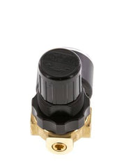 Pressure Regulator G1/4'' 330 l/min 0.2-6.0bar/3-87psi Air Water Brass Standard 0