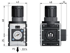Pressure Regulator for Manifold Assembly G1/4'' 1000 l/min 0.2-4.0bar/3-58psi PA Futura 0