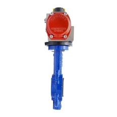 Pneumatic Butterfly Valve DN50 (2 inch) Lug Cast Iron Stainless Steel NBR Double Acting
