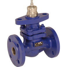 Belimo Globe Valve 15mm Flange DN25 Kvs6.3 24VAC/DC 150s 2/3-point 1000N IP54 H624S/NV24A-TPC