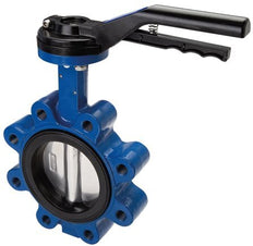DN65 (2-1/2 inch) PN12 Lug Butterfly Valve GG25-Stainless steel-NBR