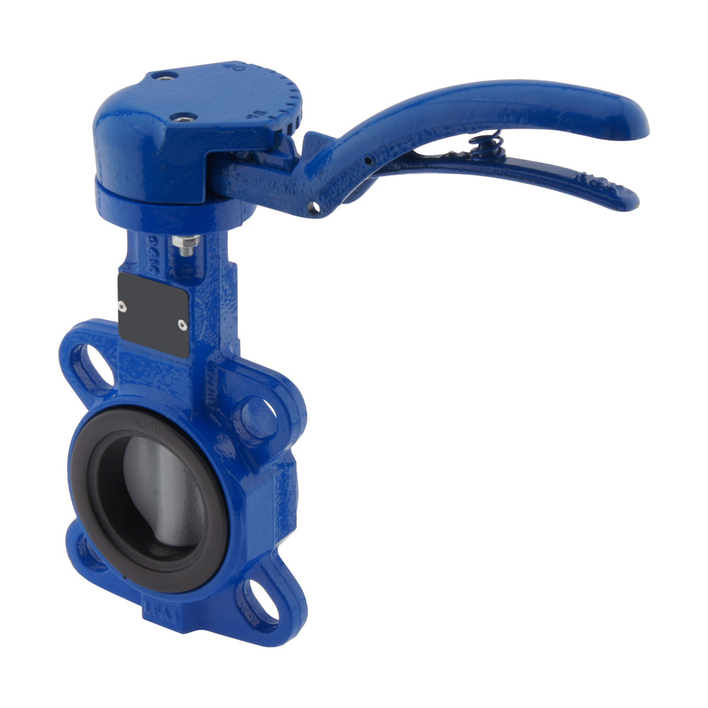 DN65 (2-1/2 inch) PN16 Wafer Butterfly Valve GGG40-GG25-NBR