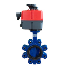 Electric Butterfly Valve DN65 24-240V AC/DC Modulating Lug GGG40 EPDM J+J