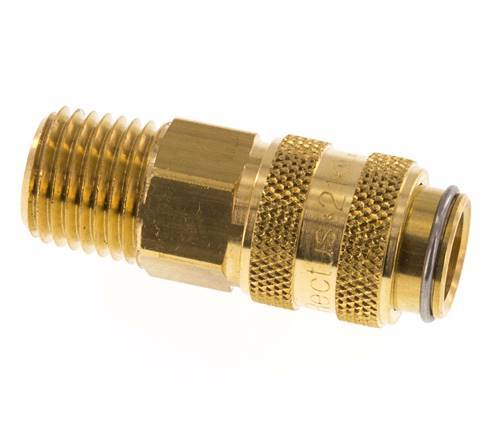 Brass DN 5 Air Coupling Socket 1/4 inch Male NPT