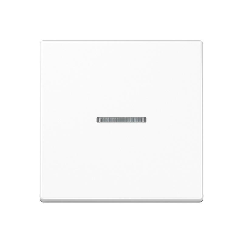 Jung AS RANGE Intelligent Control Element - FMAS1700WW