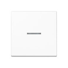 Jung AS RANGE Intelligent Control Element - FMAS1700WW