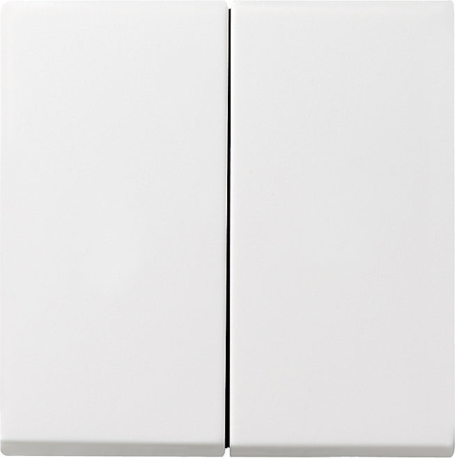 Gira System 55 Control Element/Central Plate Switchgear - 029503