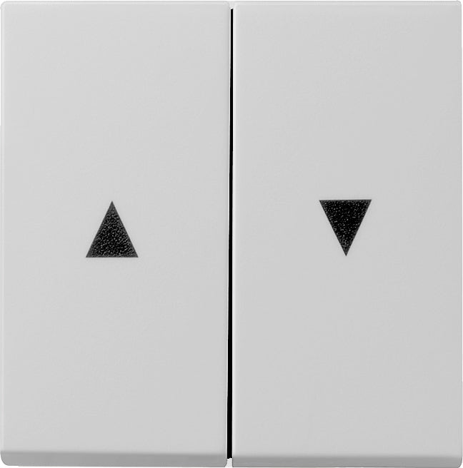 Gira System 55 Control Element/Central Plate Switchgear - 0294015