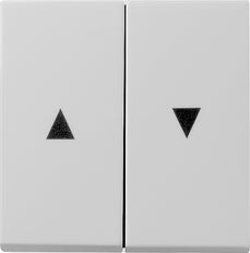 Gira System 55 Control Element/Central Plate Switchgear - 0294015