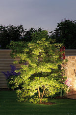 Paulmann Garden/footpath Lighting Fixture - 93696