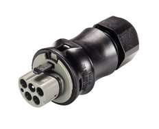 Wieland RST Classic Connector 25A 5P Male - 96.052.4154.3 [100 Pieces]