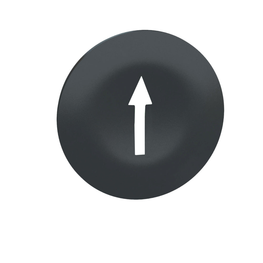 Harmony ZB Round Push Button Cap With Arrow Symbol - ZBA7235 [2 Pieces]