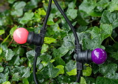 Bailey LED Party Ball G45 E27 1W Purple - 143329 [2 Pieces]