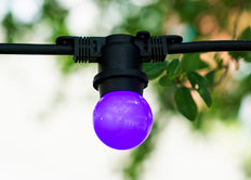 Bailey LED Party Ball G45 E27 1W Purple - 143329 [2 Pieces]