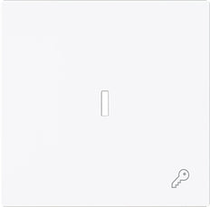 ABB Busch Single Rocker Switch With Key Symbol And Lens - 2CKA001751A3377