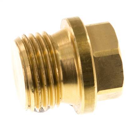 Plug G1/2'' Brass with Collar and External Hex 16bar (224.8psi) [2 Pieces]