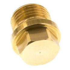 Plug G1/2'' Brass with Collar and External Hex 16bar (224.8psi) [2 Pieces]