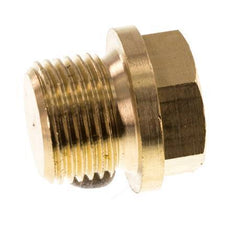 Plug G3/8'' Brass with Collar and External Hex 16bar (224.8psi) [2 Pieces]