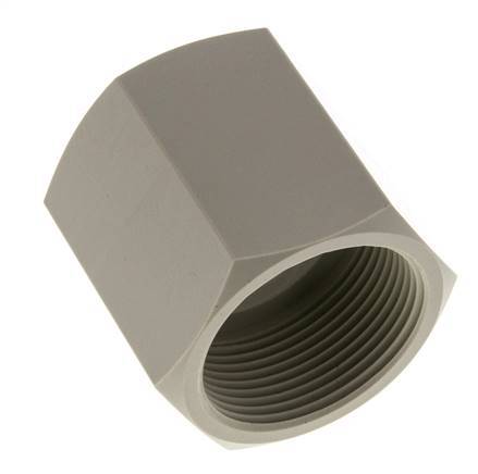 Socket G1 1/2'' Female Polypropylene (pp) 10bar (140.5psi) FDA 55mm Hex