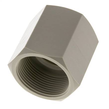 Socket G1 1/2'' Female Polypropylene (pp) 10bar (140.5psi) FDA 55mm Hex