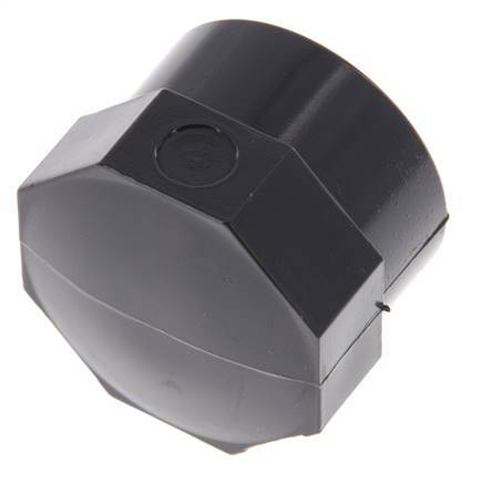 PVC End Cap Rp 3/4'' [5 Pieces]