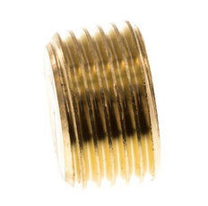 1/2'' Brass Closing plug with Inner Hex without collar 16 Bar [5 Pieces]