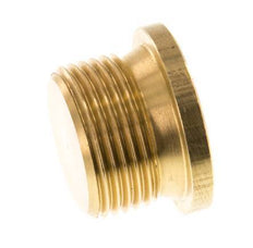 G 1'' Brass Closing plug with Inner Hex 16 Bar