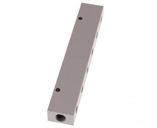 2xG 1/4'' x 12xG 1/8'' Aluminium Distributor Block Double-sided 16 Bar