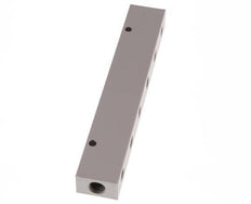 2xG 1/4'' x 12xG 1/8'' Aluminium Distributor Block Double-sided 16 Bar