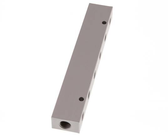 2xG 1/4'' x 12xG 1/8'' Aluminium Distributor Block Double-sided 16 Bar
