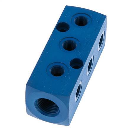 1xG 3/8'' x 9xG 1/8'' Aluminium Distributor Block One-sided 16 Bar
