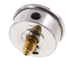 0..60 Bar (0..870 psi) Glycerin Pressure Gauge Rear Stainless steel/Brass 63 mm Class 1.6