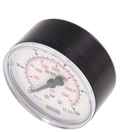 0..250 Bar (0..3626 psi) Pressure Gauge Rear Plastic/Brass 63 mm Class 2.5