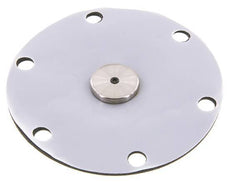 Replacement Diaphragm PTFE/NBR 1'' Stainless Steel